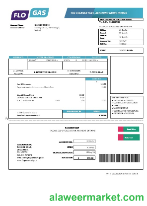 Ireland Flogas Natural Gas business utility bill template in Word and PDF formats